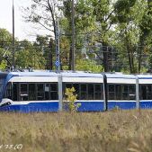 Pesa 2014N #RG902