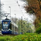 Pesa 2014N #HG933