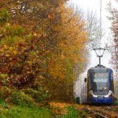 Pesa 2014N #RG902