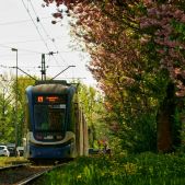Pesa 2014N #RG904