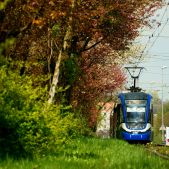 Pesa 2014N #RG907