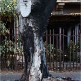 Johannesburg