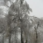 Zima w Olkuszu II