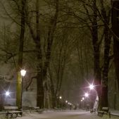 Planty mroźną nocą