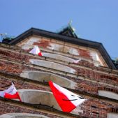 Żałoba #1