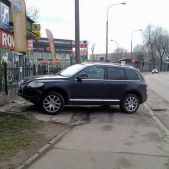 Święta krowa