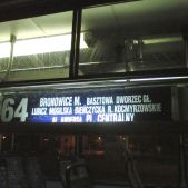 Choinka linii 64