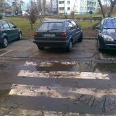 Święte krowy