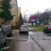 Święte krowy