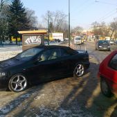 Święte krowy