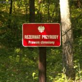Rezerwat Długosza Królewskiego
