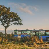 Scania CN113CLL #PS063