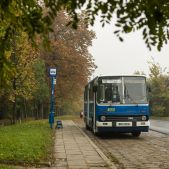 Ikarus 260.04 #45151