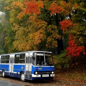 Ikarus 260.04 #45151
