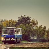 Ikarus 260.04 #45151