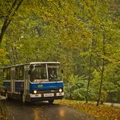 Ikarus 260.04 #45151