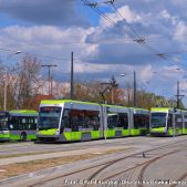 Solaris Tramino S111O #3003