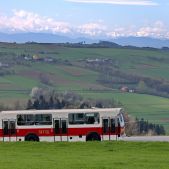 Jelcz M11 #317