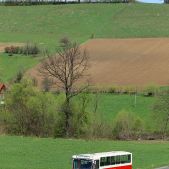 Jelcz M11 #317