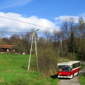 Jelcz M11 #317