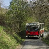Jelcz M11 #317
