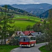 Jelcz M11 #317