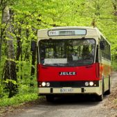 Jelcz L120 #KMY84VP