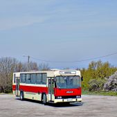Jelcz L120 #KMY 84VP