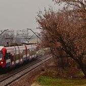 EN97-006