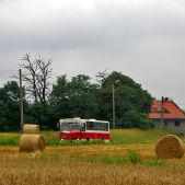 Jelcz M11 #317