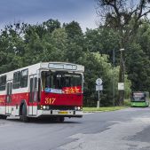 Jelcz M11 #317