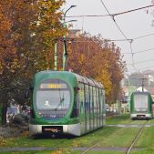 AnsaldoBreda Sirio M8/7 #7119