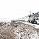 SU46-017