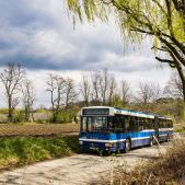 Jelcz M181MB #DD439