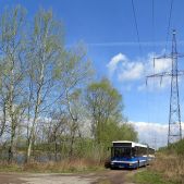 Jelcz M181MB #DD439