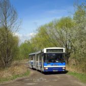 Jelcz M181MB #DD439