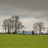 Jelcz M181MB #DD439