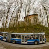 Jelcz M181MB #DD439