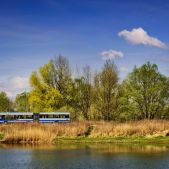 Jelcz M181MB #DD439