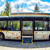 MAN NL313 CNG #MM099