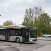 MAN NL313 CNG #DM710