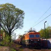 181-039