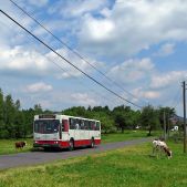 Jelcz 120M #372
