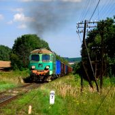 ST43-115