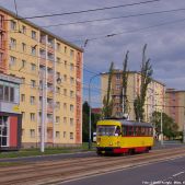 Tatra T3M.3 #204
