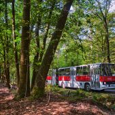 Ikarus 280.26 #34260