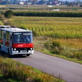 Ikarus 280.26 #34260