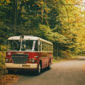 Ikarus 620.54 #118