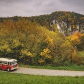 Ikarus 620.54 #118