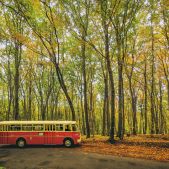 Ikarus 620.54 #118
